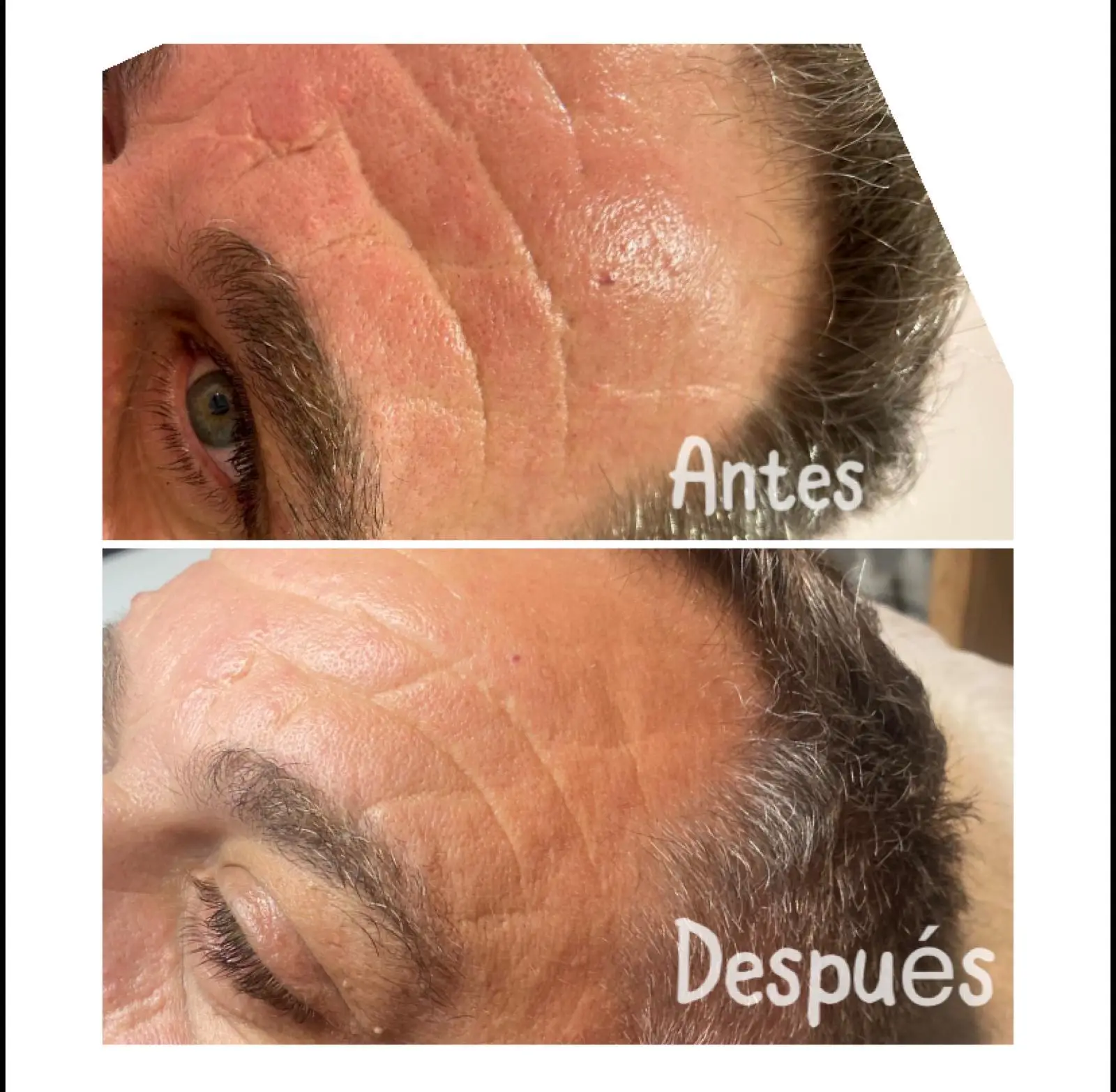 10821c76 88f3 4425 a90c de37a23f7de6